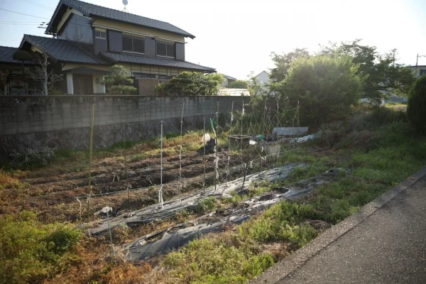 【徹底解説】いらない田舎の土地を処分したい！放置リスクや対処法もご紹介