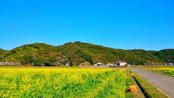 田舎の土地活用で気を付けたいポイントを徹底解説！活用事例もご紹介