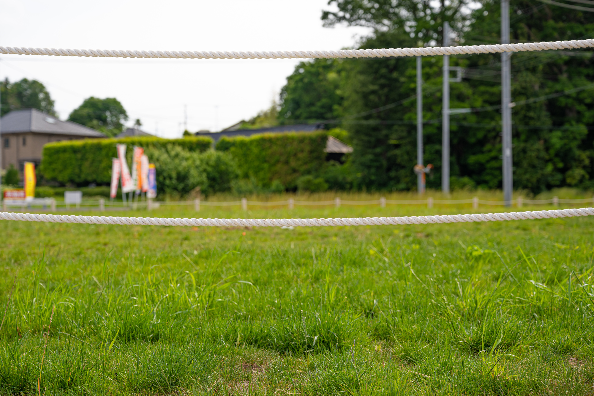 遊休地の活用方法を知って お金を生む土地に生き返らせよう